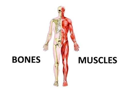 Bone and muscle disorders, Mental stress, weakness